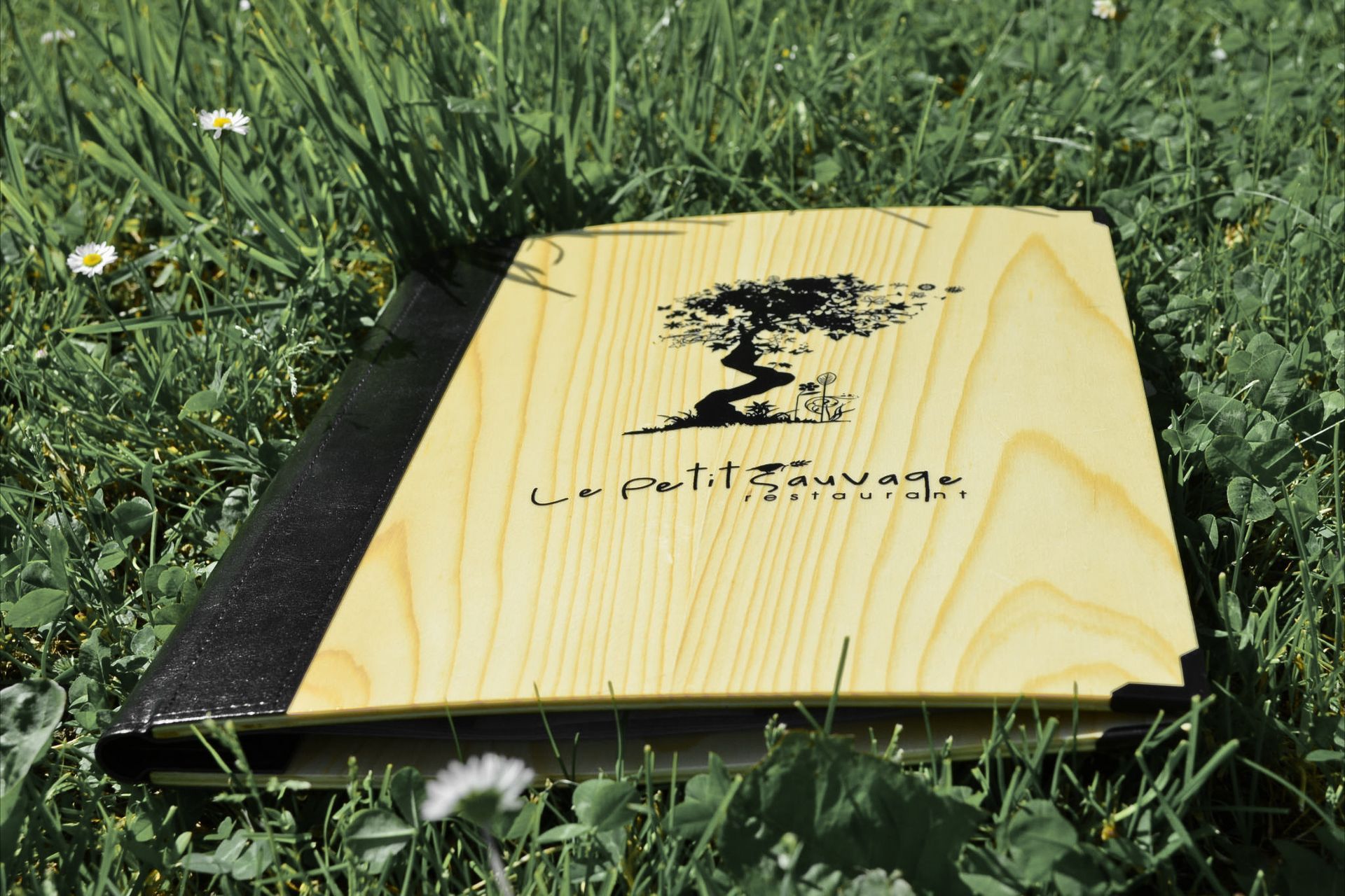 Livre à couverture bois, décor d'arbre, dans l'herbe; texte