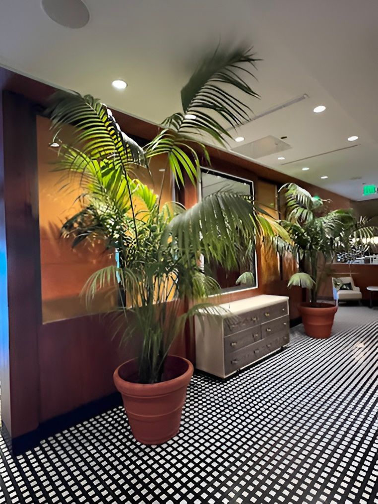 Hallway with potted palm trees, dresser, mirror, black and white tiled floor, and a warm-toned wall.