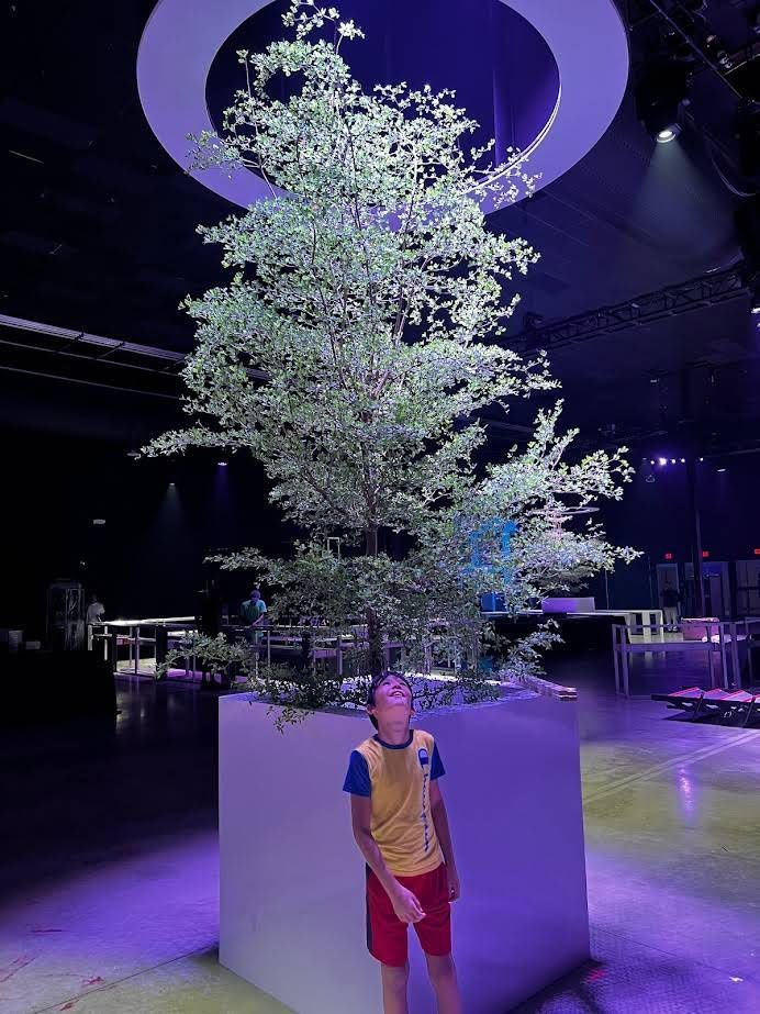 Boy standing by a large potted tree inside a building with tables and a circular light fixture.