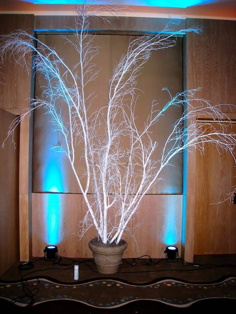 White illuminated branches in a terracotta pot, with blue spotlights against a tan wall.