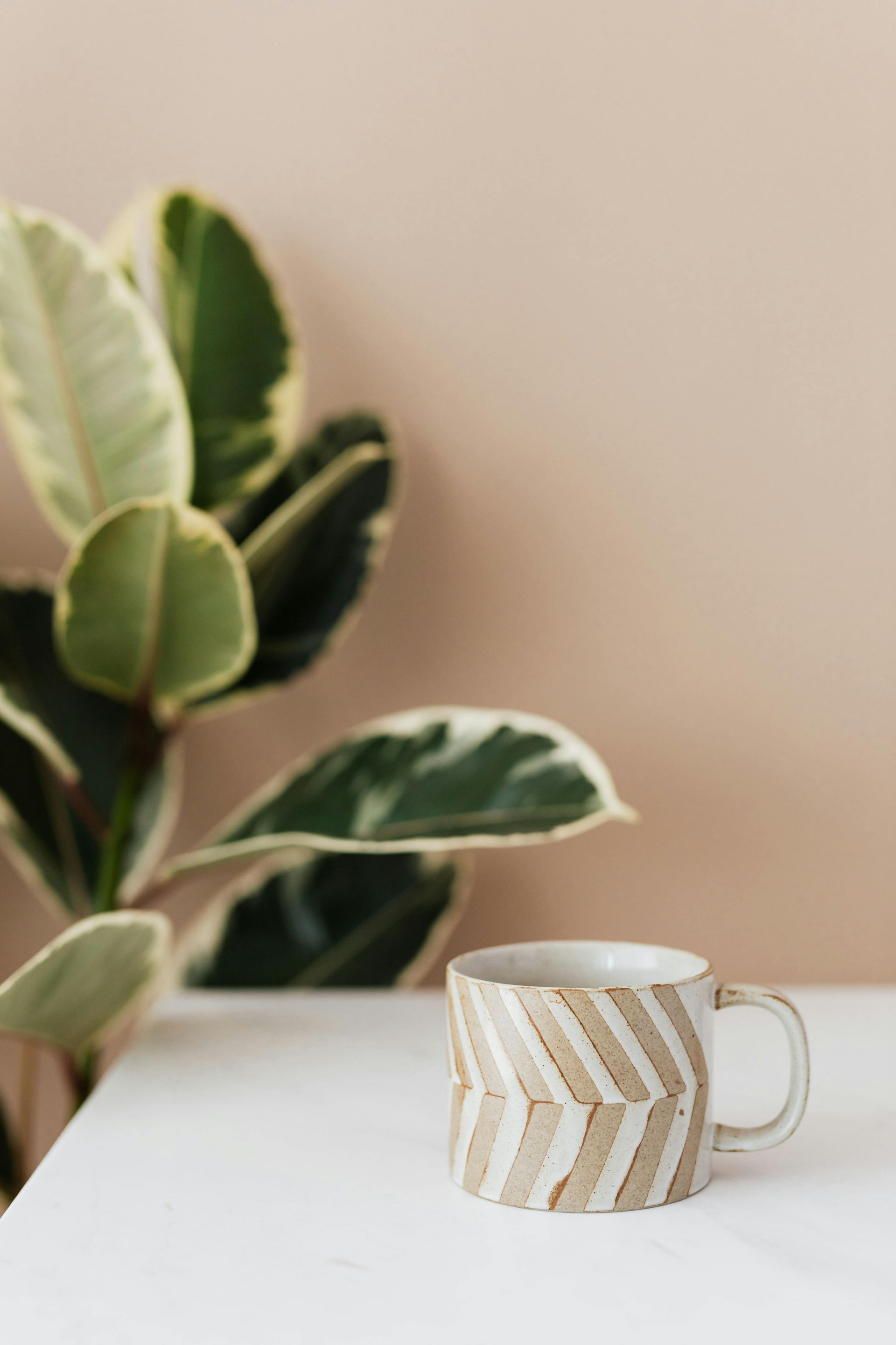 Coffee mug with a chevron pattern on a white table, a green and white plant in the background.
