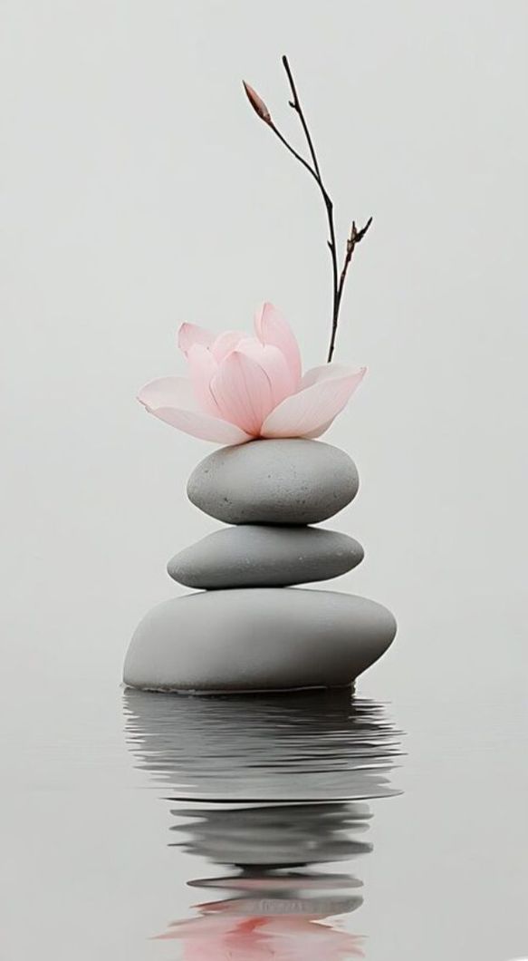 Pierres grises empilées avec une fleur rose, une branche, dans l'eau ; composition zen paisible.