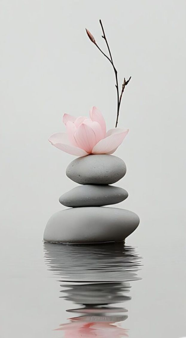 Pierres grises empilées avec une fleur rose, une branche, dans l'eau ; composition zen paisible.