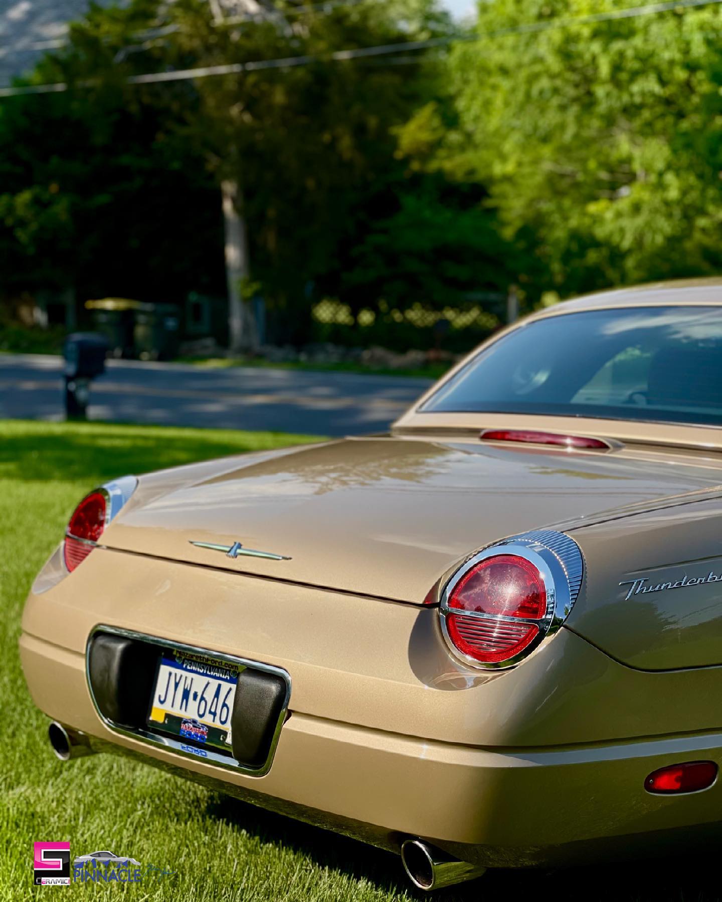 Bronze BMW Back — Lehigh Valley, PA — Pinnacle Luxury Car Care
