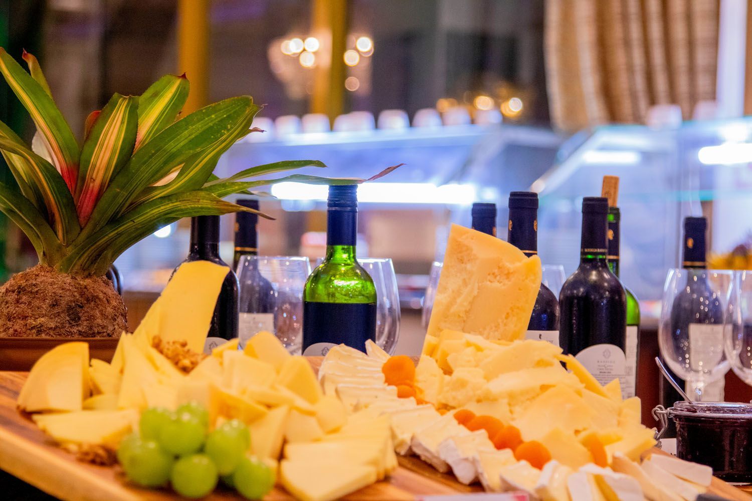 Exposição de queijos e vinhos com uma planta, ambiente de restaurante.