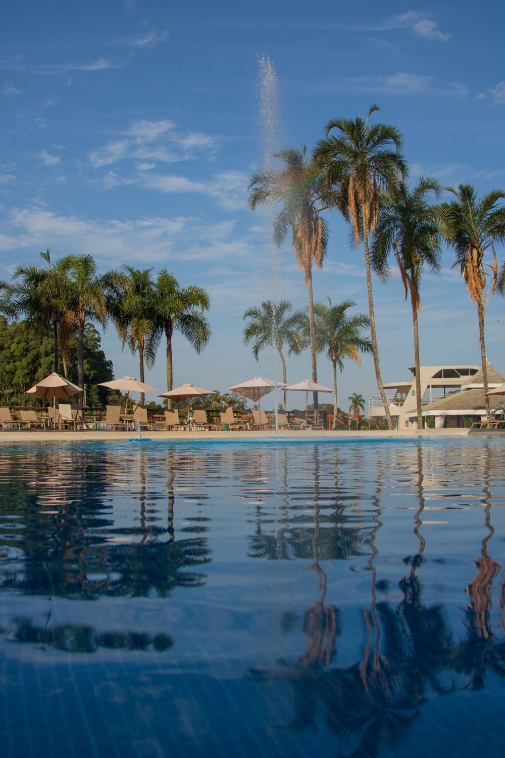 Piscina com palmeiras, fonte e guarda-sóis contra um céu azul brilhante.