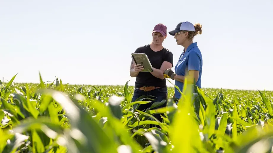 Two people in hats examining a tablet in a field of green crops under a bright blue sky.