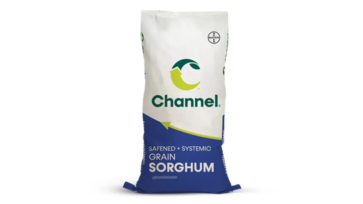 Bag of Channel Grain Sorghum seed, white and blue, with green logo.
