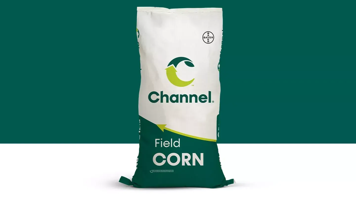 Bag of Channel brand field corn on a green background. White and dark green bag with logo.