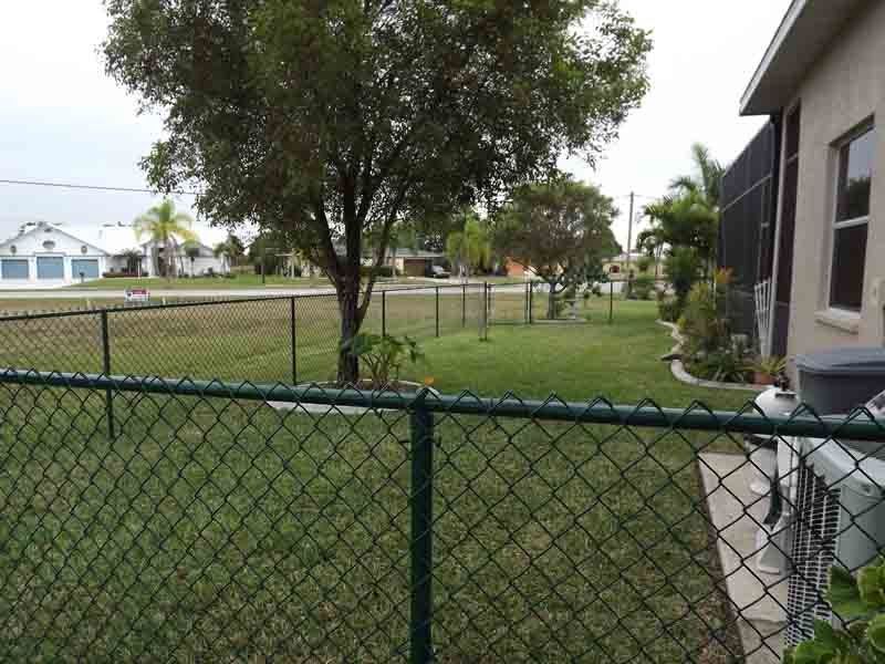 A chain link fence surrounds a lush green yard