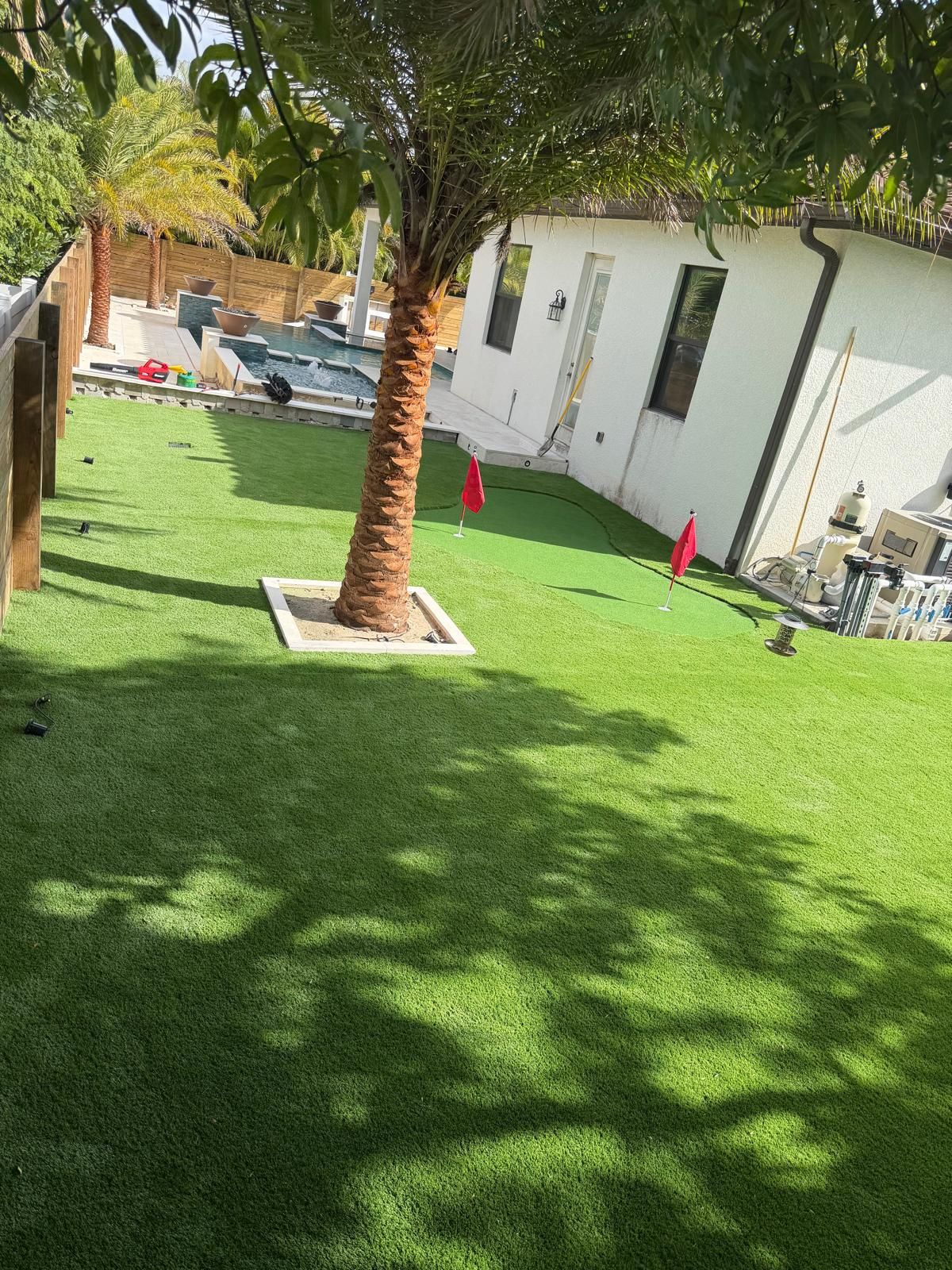 A row of palm trees are growing in a garden.