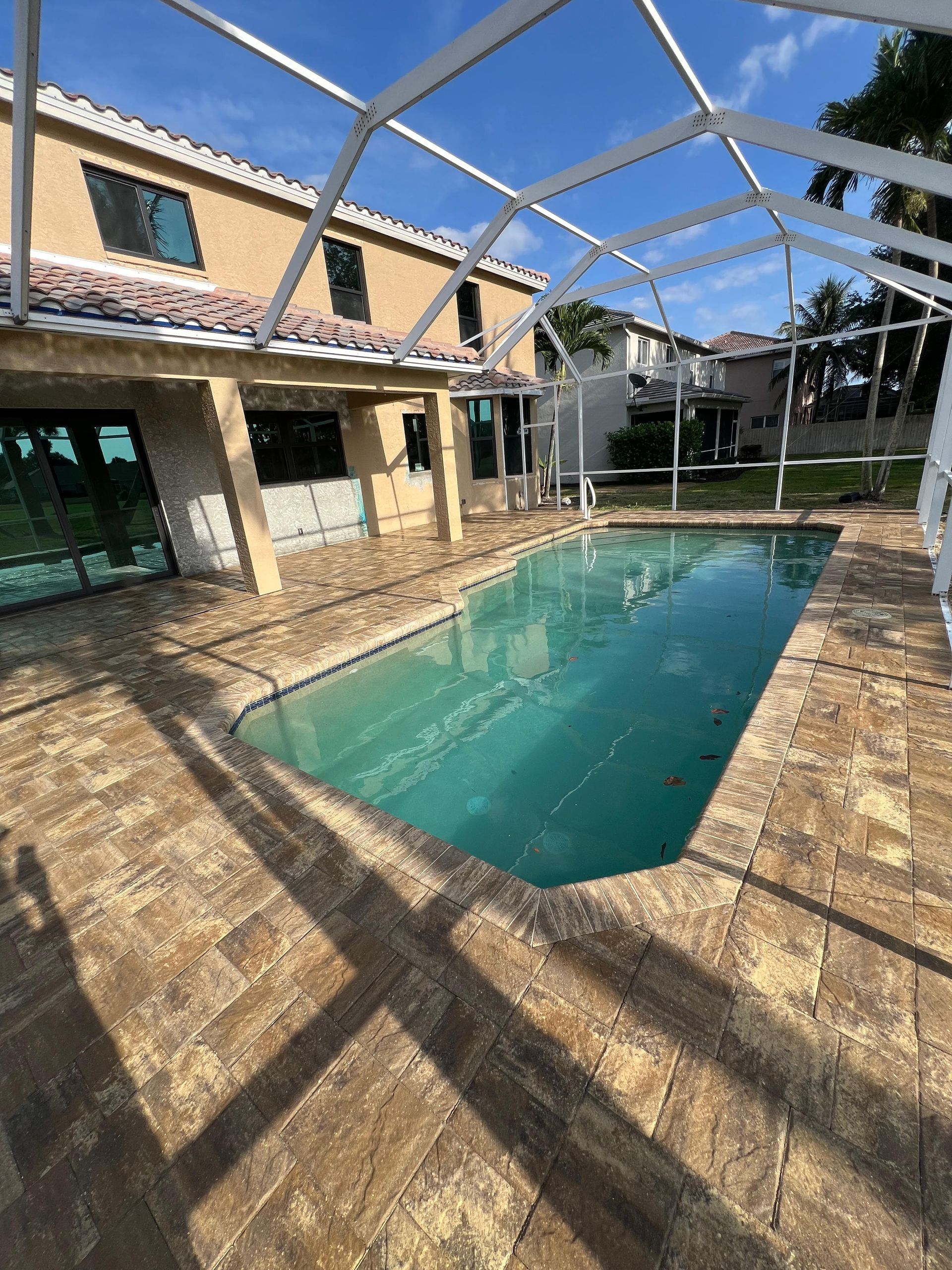 A row of palm trees are growing in a garden.