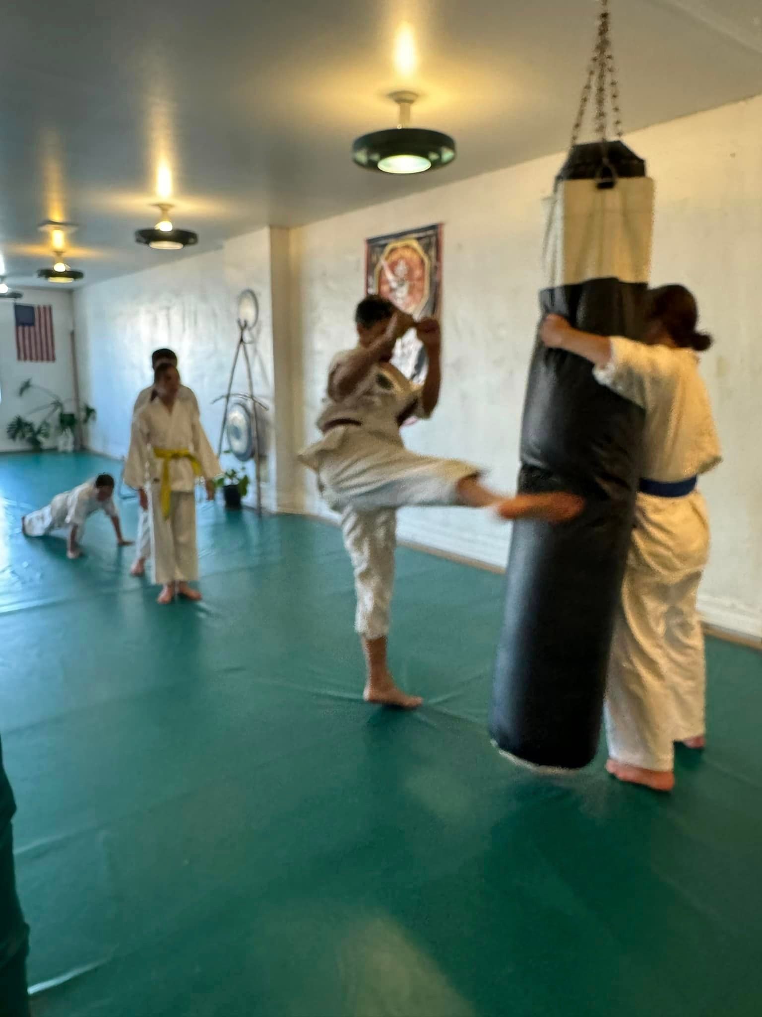 adult martial arts