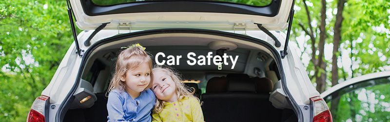 Two little girls are sitting in the back of a car.