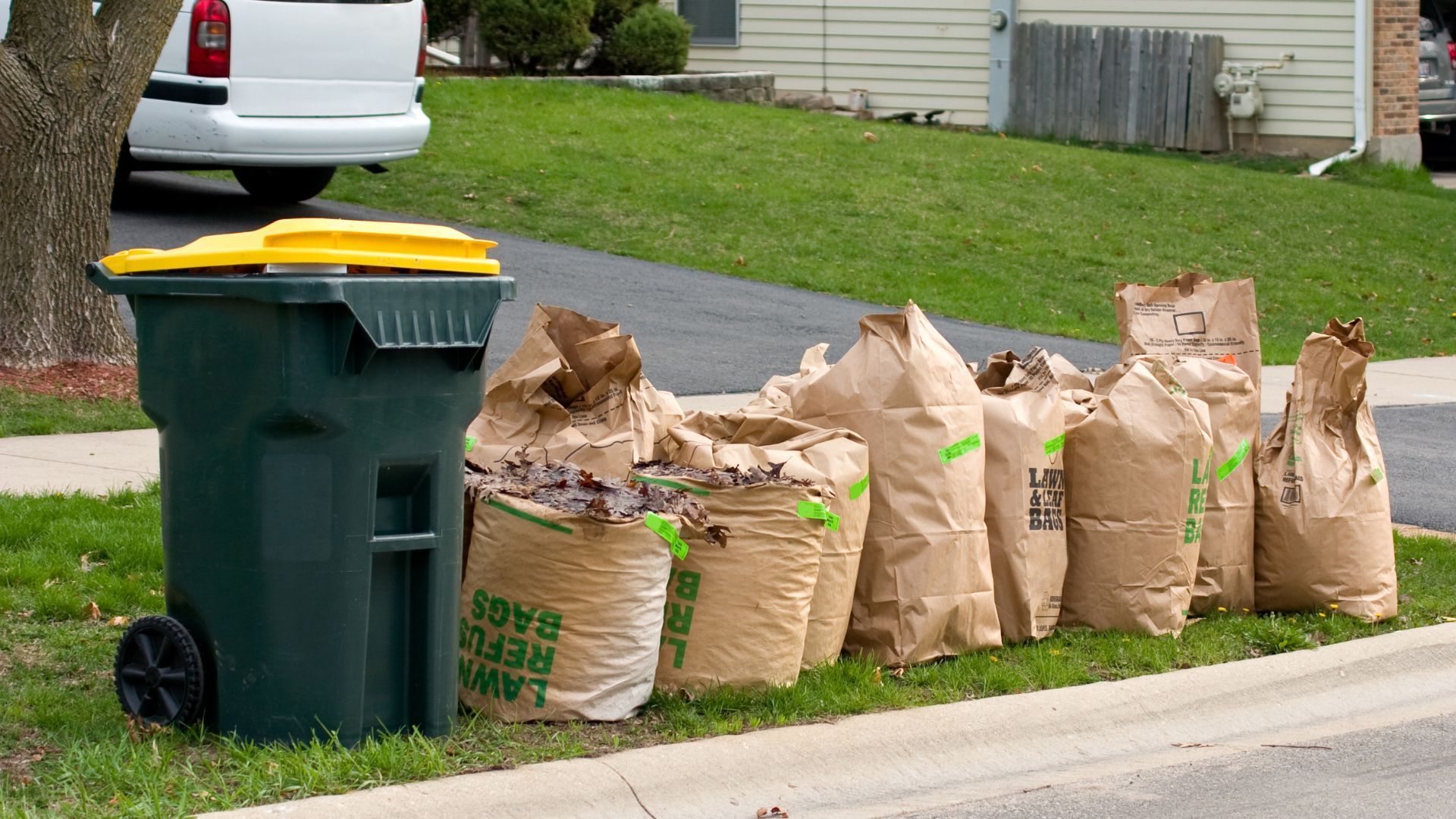 Eco-Friendly Yard Waste Removal