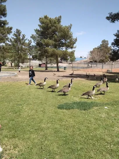 A group of geese are standing in the grass in a park