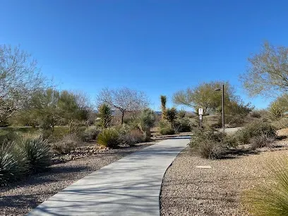 A concrete walkway in the middle of a desert surrounded by trees and bushes.