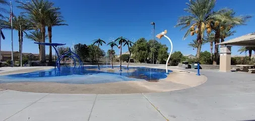 A large swimming pool surrounded by palm trees in a park.