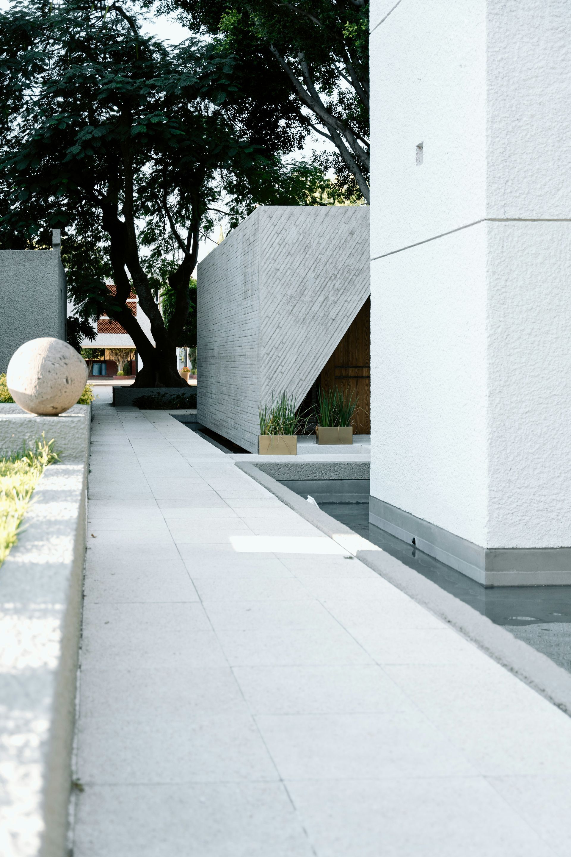 White stone pathway leads past modern buildings with a reflecting pool and large tree in the background.
