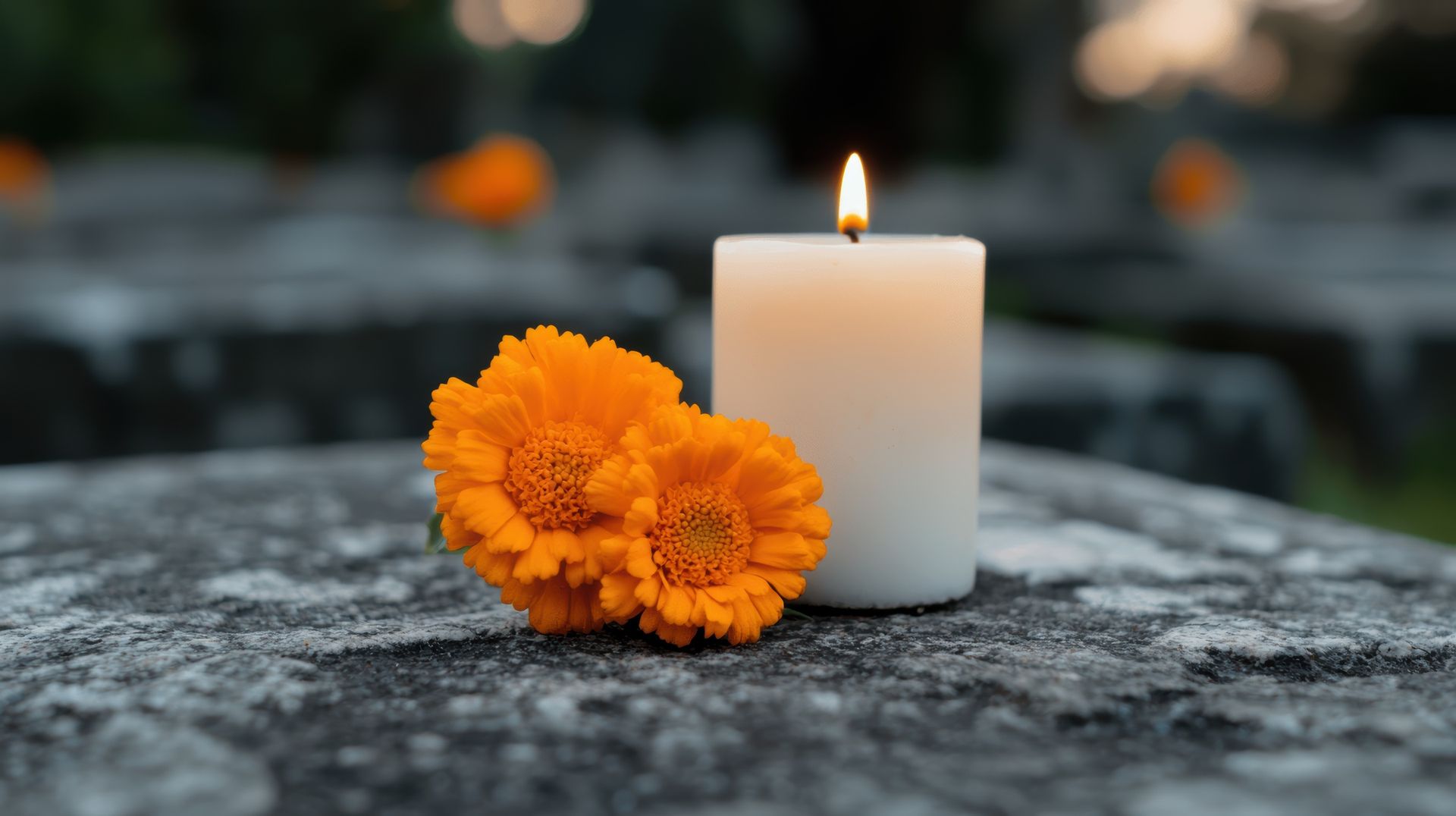 cremation services in Burnsville MN