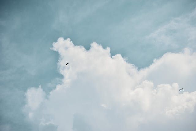 cremation services Burnsville, MN