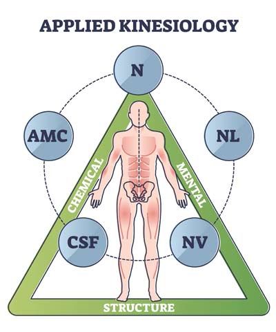 What is Applied Kinesiology