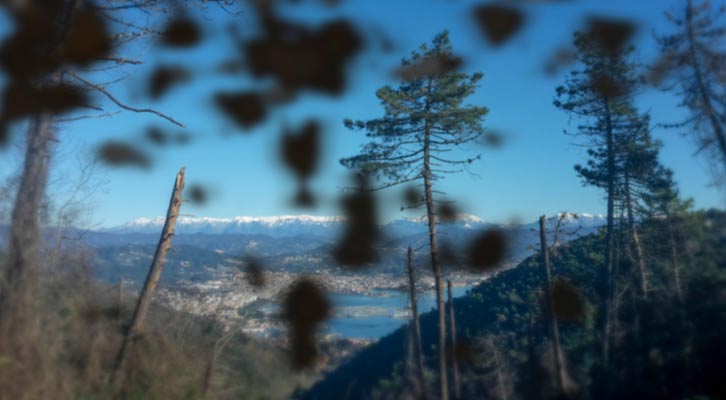 Diabetic Retinopathy Treatments NYC by Marc Bystock L.Ac.