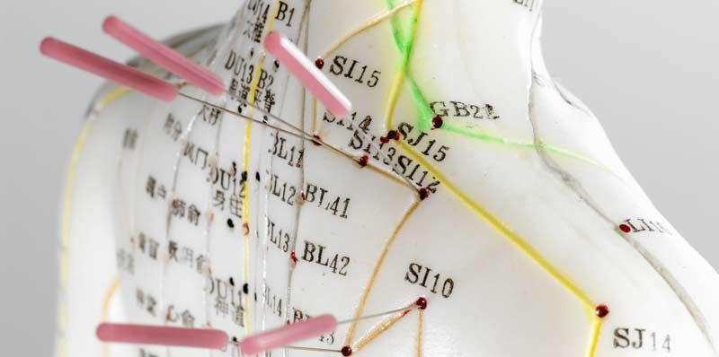 Acupuncture model referencing The Science Behind Acupuncture: What Research Says