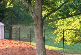 chain link fence - custom fences in Rockville, MD