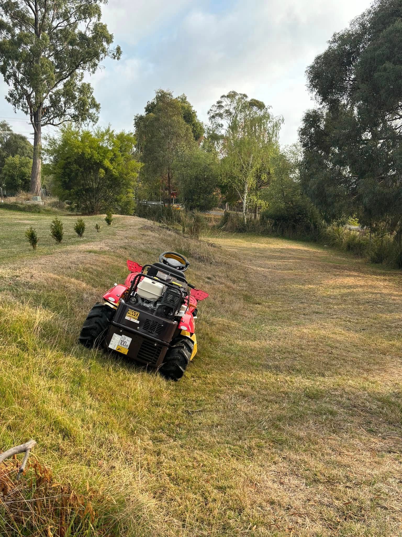 Robot lawnmower cutting grass on a hillside; trees and cloudy sky in the background.