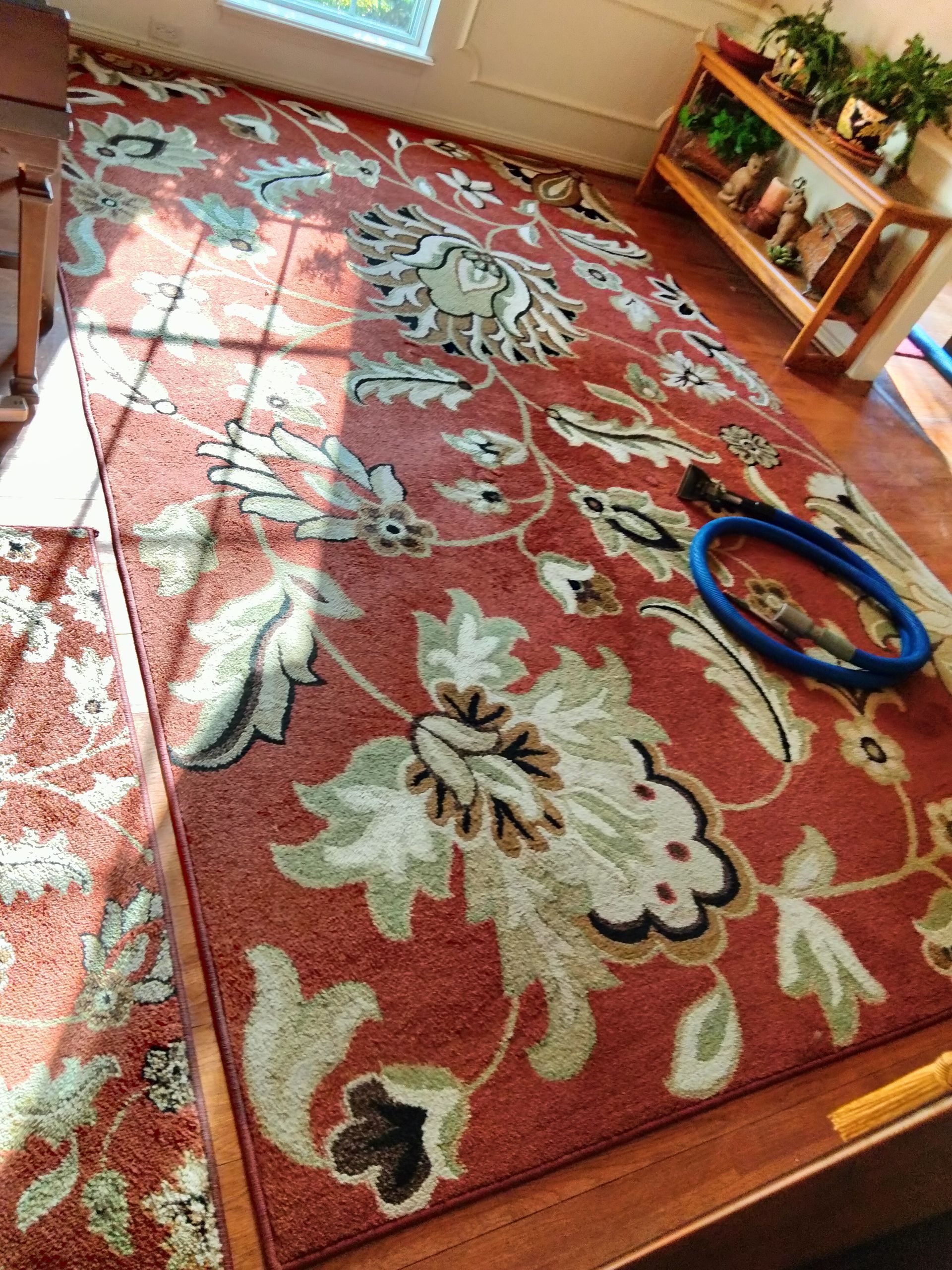 A rug with a floral pattern is sitting on a wooden floor in a living room.