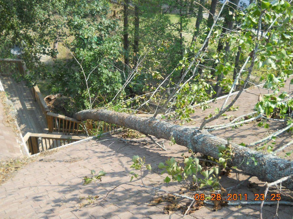 Large Tree Falls on a Small House — Shelby, NC — Carswell Construction and Restoration