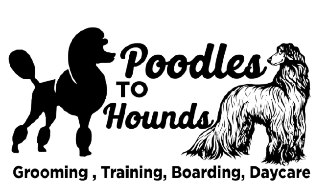 Poodles to Hounds