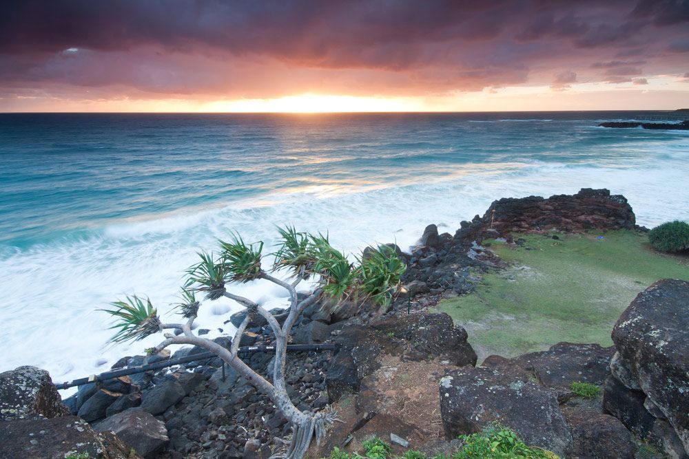 A Sunset Over the Ocean With a Tree in the Foreground — Goonellabah Roof Tilers In Tweed Heads, NSW