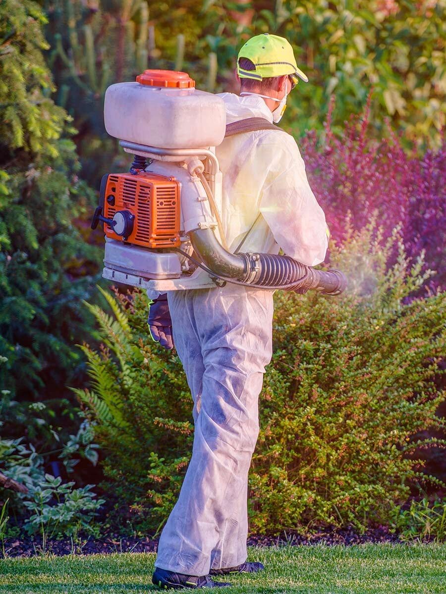 Pest Control in Garden — Mid North Coast Termite Inspections Pty Ltd in South West Rocks, NSW