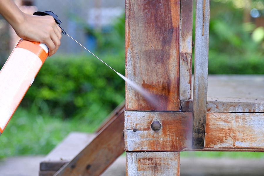 Pest Control On Wood — Mid North Coast Termite Inspections Pty Ltd in South West Rocks, NSW