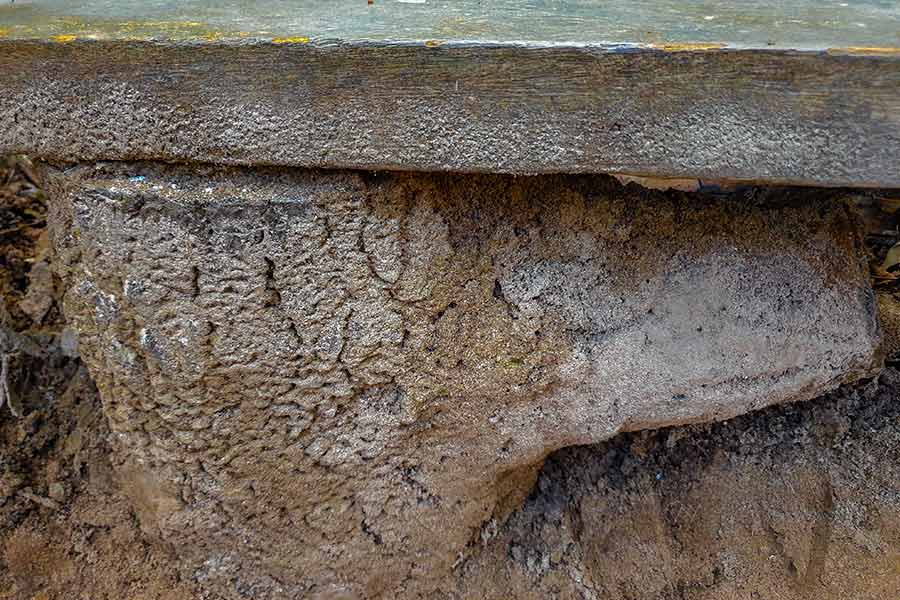 Termite Inspection Under Chair — Mid North Coast Termite Inspections Pty Ltd in South West Rocks, NSW