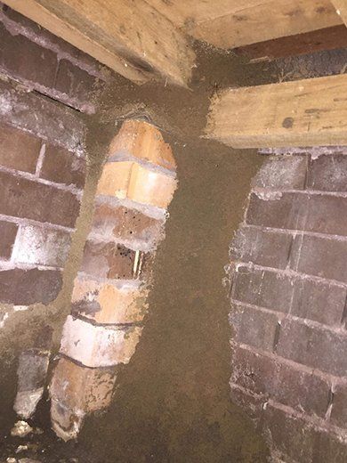 Termite Nest — Mid North Coast Termite Inspections Pty Ltd in South West Rocks, NSW