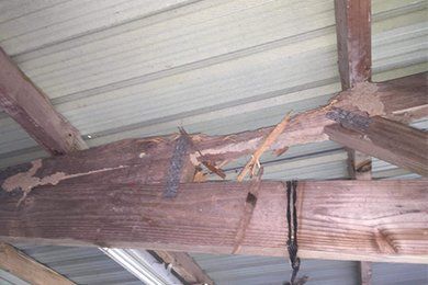 Damaged Wooden Roof Support Beams Caused By Termites — Mid North Coast Termite Inspections Pty Ltd in South West Rocks, NSW