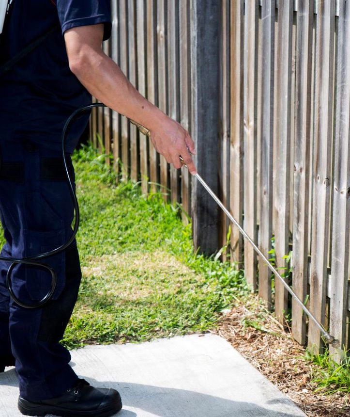 Pest Control Worker — Mid North Coast Termite Inspections Pty Ltd in South West Rocks, NSW