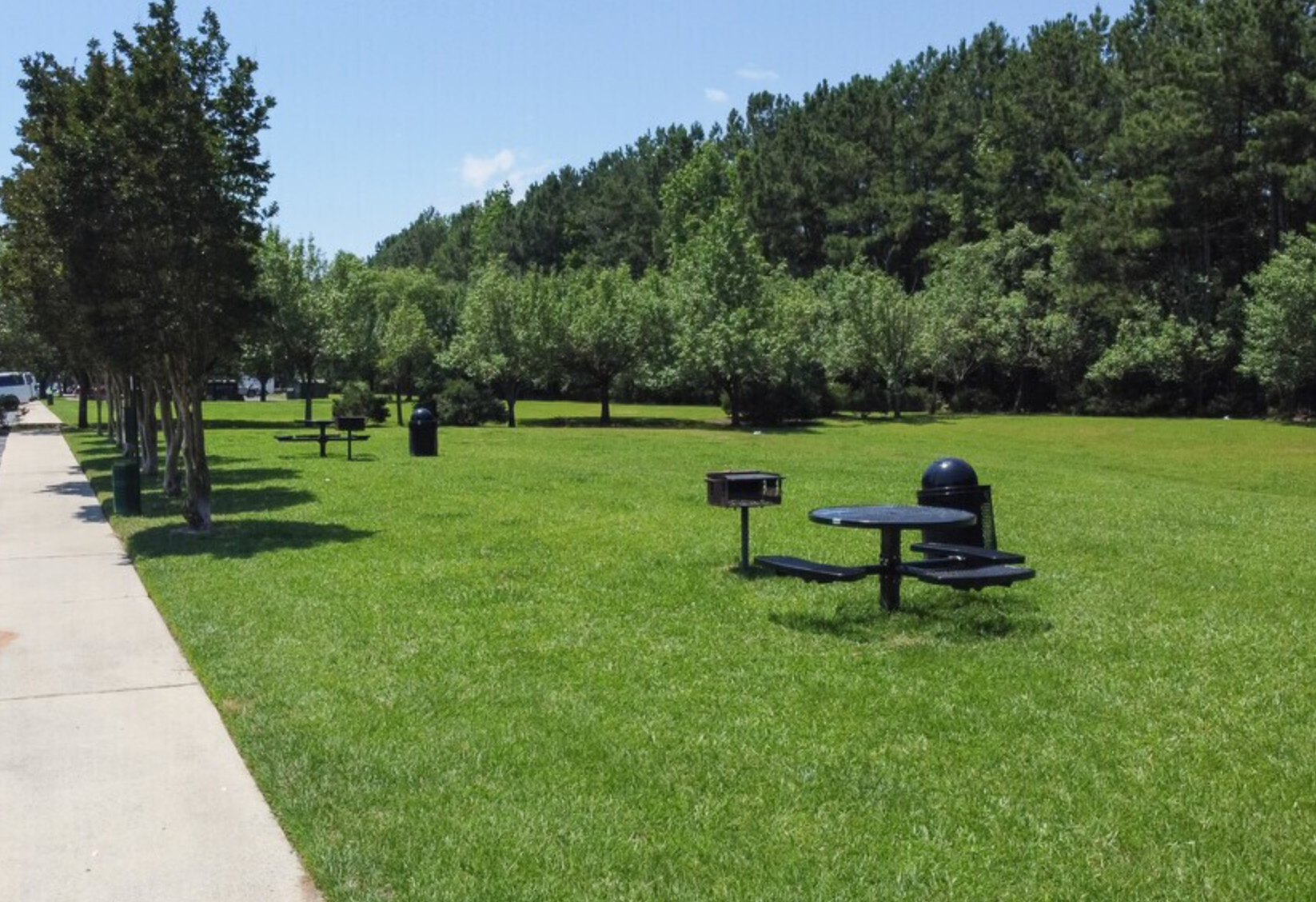 A row of picnic tables in a park with trees in the background