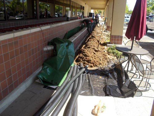 Steam Washing — Pressure Washed Bricks in Citrus Heights, CA