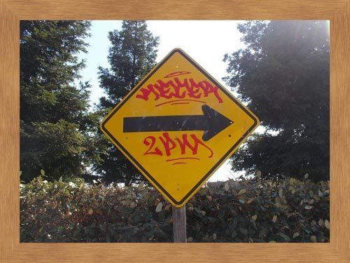 Dumpster Cleaning Services — BEFORE - Vandalism on Street Sign in Citrus Heights, CA