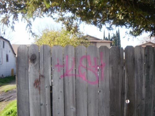 Residential Services — BEFORE - Wood Fence Vandalism in Citrus Heights, CA