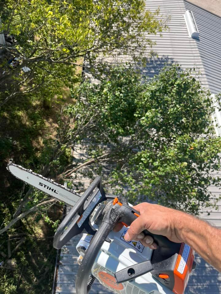 a person is cutting a tree with a chainsaw .