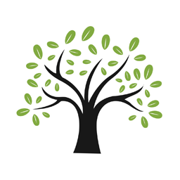 Tree Removal | Homestead Tree Service