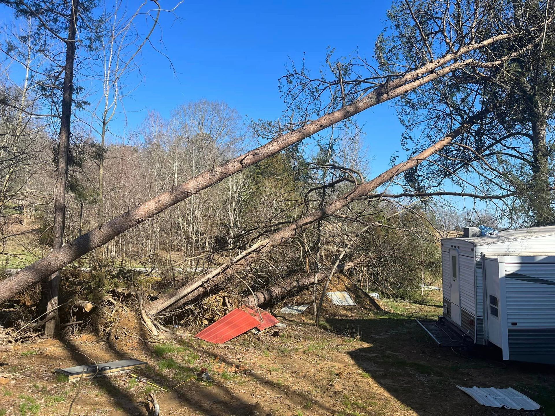 a fallen tree in a yard next to a trailer .