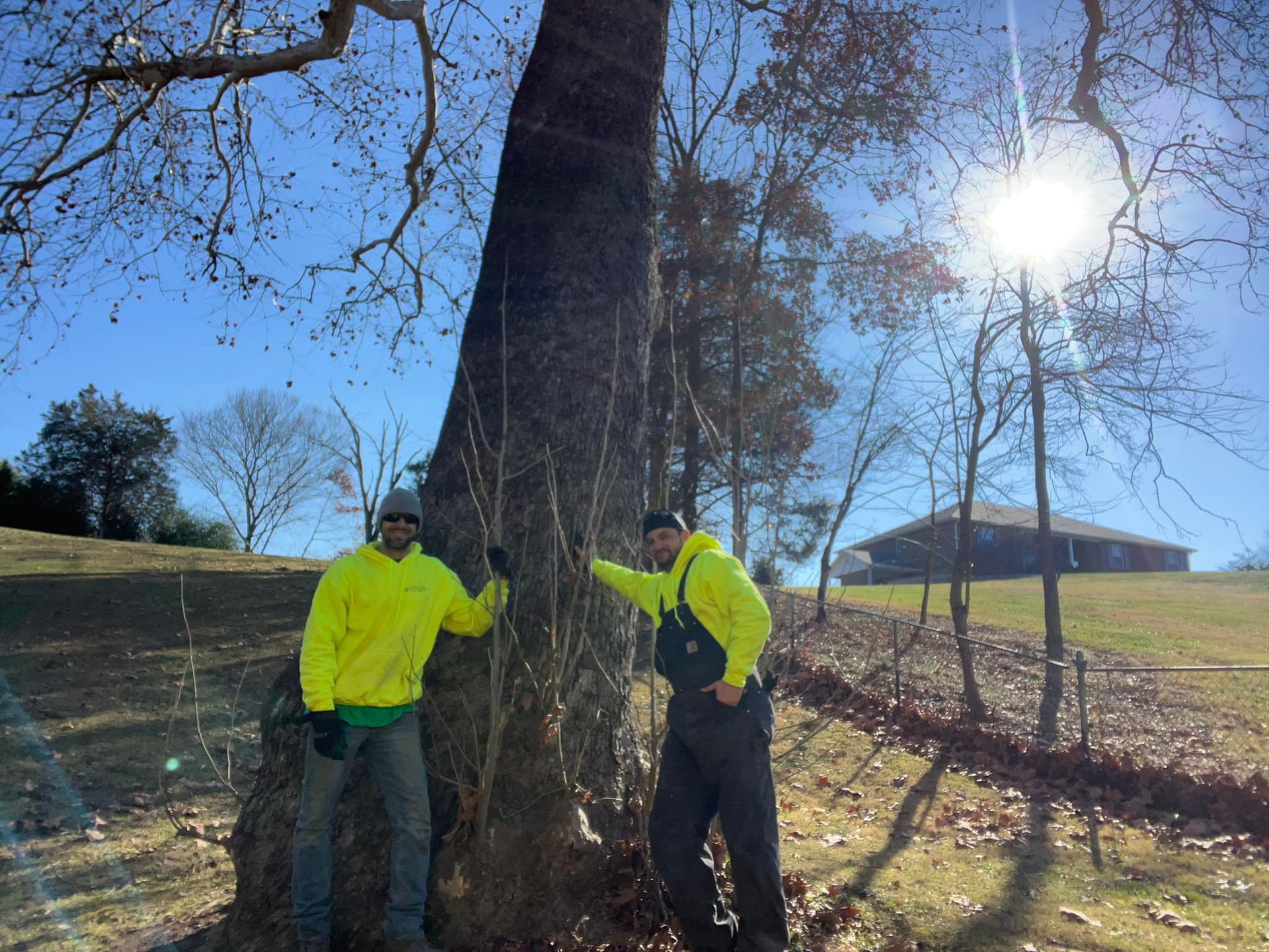 two men are standing next to a large tree in a field .