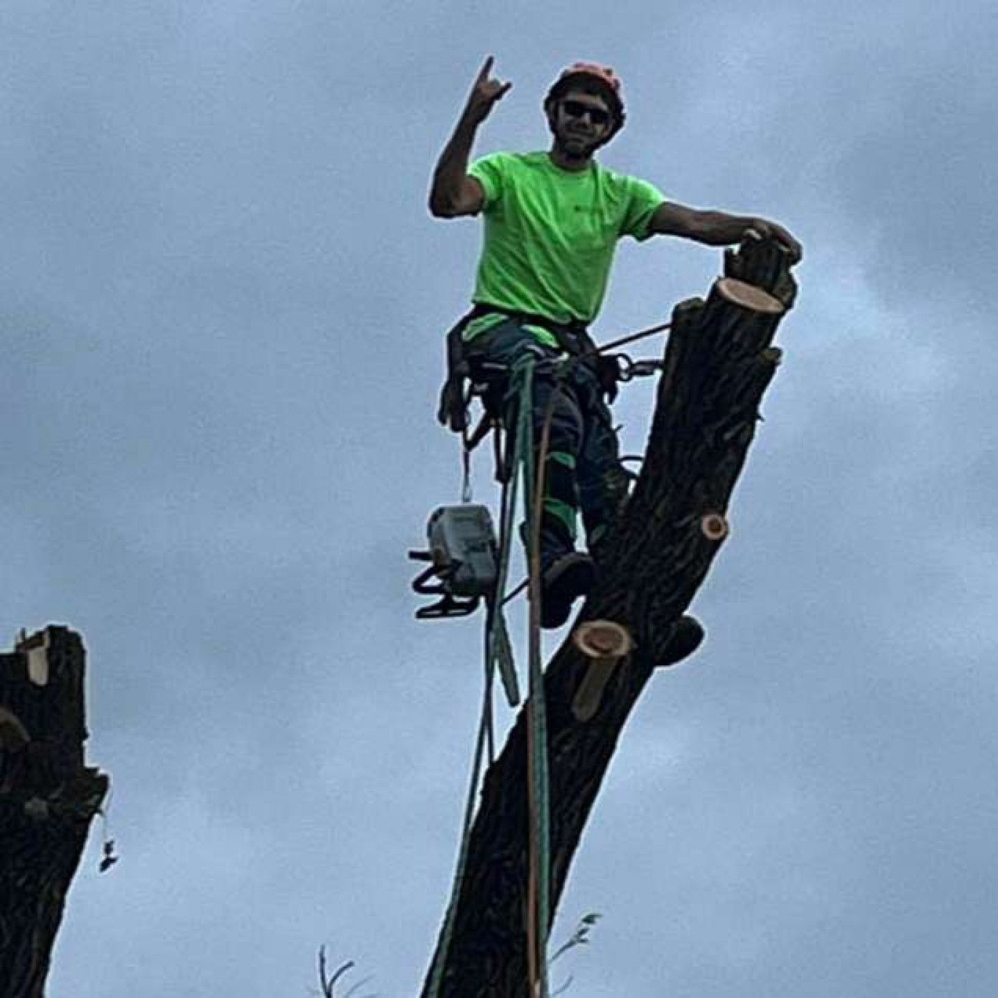 a man in a green shirt is standing on top of a tree trunk .