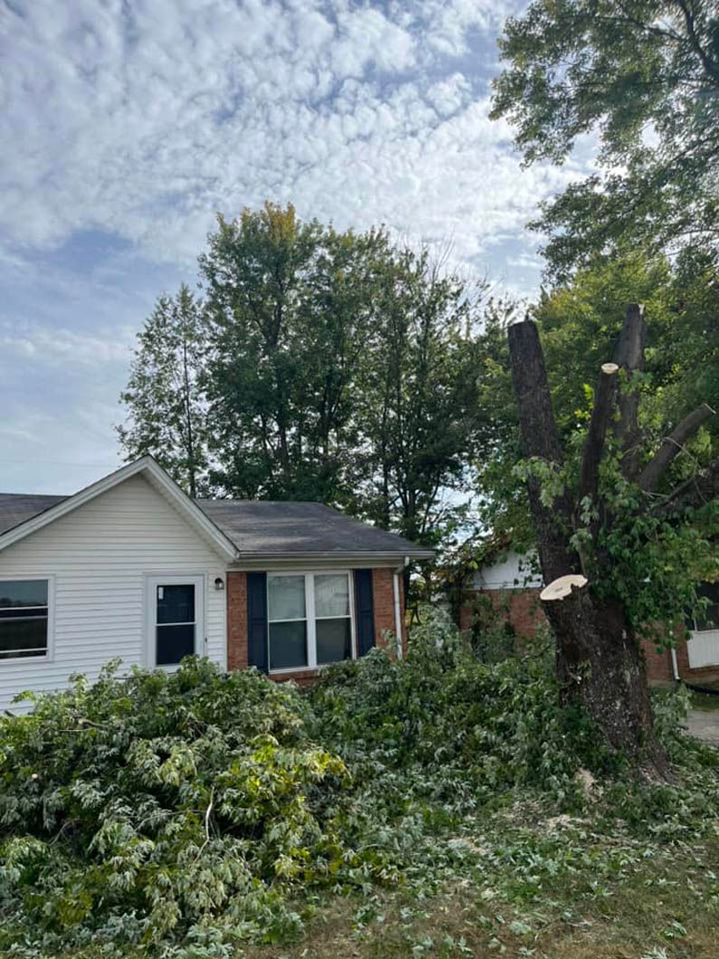 a house with a tree stump in front of it .
